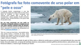 Apresentação elaborada pela Professora FERNANDA BRUM LOPES, disciplina de Geografia
A fotógrafa Kerstin Langenberger é uma das
centenas de turistas que viajam todos os anos para o
fiórde de Svalbard, no ártico norueguês, para
observar ursos polares. Mas o que ela viu,
recentemente, a deixou perplexa: Kerstin encontrou,
repetidas vezes, animais famintos e com pouco mais
do que pele e osso.
Em um post comovente em seu perfil no
Facebook, a fotógrafa publicou a imagem de um
urso polar raquítico vagando atrás de alimento.
Ela atribuiu a situação chocante ao degelo recorde do
Ártico, associado ao aumento das temperaturas em
meio às mudanças climáticas. (...)
“Sim, eu vi ursos em boa forma - mas também tenho
visto [ursos] mortos e morrendo de fome. Ursos
andando nas margens à procura de comida, ursos
tentando caçar renas, comer ovos do pássaro, musgo
e algas", escreveu a fotógrafa.
Segundo os cientistas, a diminuição do gelo do Ártico reduz a oferta de comida para os animais (o principal alimento dos ursos são
focas). Em junho deste ano, um grupo de cientistas observou ursos polares comendo golfinhos-de-bico-branco, pela primeira vez, no
fiórde de Svalbard, o mesmo lugar retratado por Kerstin.
Fonte. Exame. Disponível em:<http://exame.abril.com.br/mundo/noticias/fotografa-retrata-urso-polar-no-artico-em-pele-e-
osso>. Acesso em: 12 nov. 2015.
 