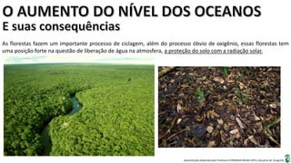 Apresentação elaborada pela Professora FERNANDA BRUM LOPES, disciplina de Geografia
As florestas fazem um importante processo de ciclagem, além do processo óbvio de oxigênio, essas florestas tem
uma posição forte na questão de liberação de água na atmosfera, a proteção do solo com a radiação solar.
 
