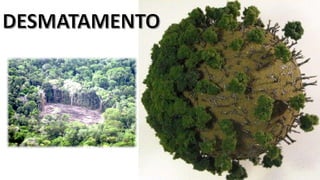 Apresentação elaborada pela Professora FERNANDA BRUM LOPES, disciplina de Geografia
 