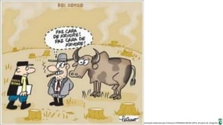 Apresentação elaborada pela Professora FERNANDA BRUM LOPES, disciplina de Geografia
 