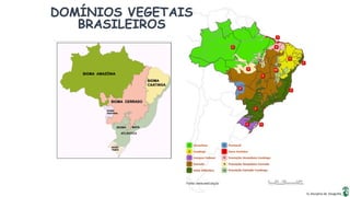 Apresentação elaborada pela Professora FERNANDA BRUM LOPES, disciplina de Geografia
DOMÍNIOS VEGETAIS
BRASILEIROS
 