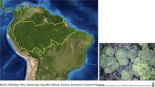 Apresentação elaborada pela Professora FERNANDA BRUM LOPES, disciplina de GeografiaBrasil, Colômbia, Peru, Venezuela, Equador, Bolívia, Guiana, Suriname e Guiana Francesa
 
