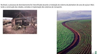Apresentação elaborada pela Professora FERNANDA BRUM LOPES, disciplina de Geografia
No Brasil, o processo de desmatamento foi intensificado durante a instalação do sistema de plantation de cana de açúcar. Mais
tarde a construção das cidades, estradas e implantação dos sistemas de transporte.
 