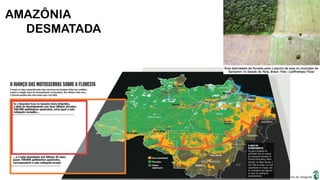 Apresentação elaborada pela Professora FERNANDA BRUM LOPES, disciplina de Geografia
AMAZÔNIA
DESMATADA
 