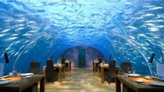 Apresentação elaborada pela Professora FERNANDA BRUM LOPES, disciplina de Geografia
 