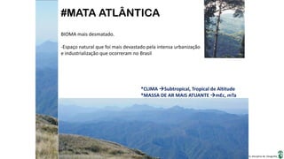 Apresentação elaborada pela Professora FERNANDA BRUM LOPES, disciplina de Geografia
#MATA ATLÂNTICA
*CLIMA Subtropical, Tropical de Altitude
*MASSA DE AR MAIS ATUANTE mEc, mTa
BIOMA mais desmatado.
-Espaço natural que foi mais devastado pela intensa urbanização
e industrialização que ocorreram no Brasil
 