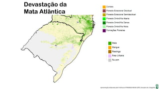 Apresentação elaborada pela Professora FERNANDA BRUM LOPES, disciplina de Geografia
Devastação da
Mata Atlântica
 