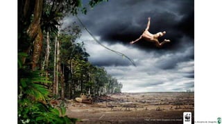 Apresentação elaborada pela Professora FERNANDA BRUM LOPES, disciplina de Geografia
 