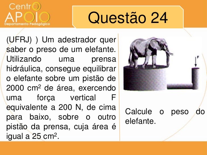 Um Adestrador Quer Saber O Peso De Um Elefante