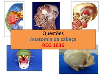 Questões
Anatomia da cabeça
RCG 1036
 