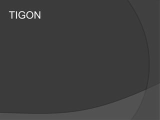 TIGON
 