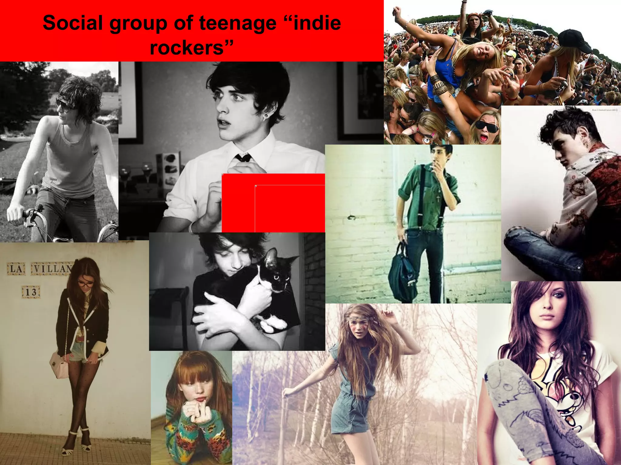 Social group of teenage “indie rockers” 