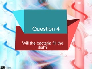 Question 4 Will the bacteria fill the dish? 