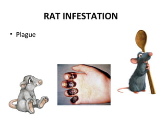 RAT INFESTATION
• Plague
 