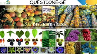 QUESTIONE-SE
“O MUNDO DA FUNDAG” - Slide 11
DIVERSIDADES
Do latim diversĭtas: Qualidade daquilo que é diverso, diferente, variado.
 