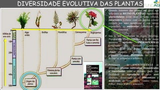  Quando tratamos das plantas em geral nos
referimos ao REINO PLANTAE: organismos
pluricelulares (com mais de uma célula),
eucariontes (células com um núcleo celular
cercado por uma membrana e com várias
organelas), e autótrofos (produzem seu
próprio alimento).
 Isto é, nos reportamos às Algas, Briófitas,
Pteridófitas, Giminospermas, e às de maior
interesse agrícola: ANGIOSPERMAS
(originada no período Cenozoico,
distribuindo-se por todos continentes e
climas distintos - latitudes, longitudes e
altitudes, e com diversidade no porte -
herbáceo, arbustivo e arbóreo).
 Pertencem às ANGIOSPERMAS as
principais plantas cultivadas, domesticadas
e coevoluídas com o homem (pela sua
facilidade de reprodução e pelos usos
diversos, destacando-se os alimentícios e
medicinais de suas raízes, caules, ramos,
folhas, flores, frutos e sementes).
DIVERSIDADE EVOLUTIVA DAS PLANTAS
 