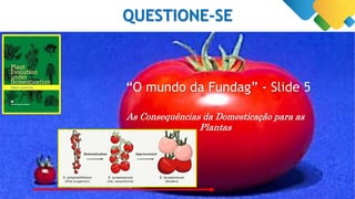 QUESTIONE-SE
“O mundo da Fundag” - Slide 5
As Consequências da Domesticação para as
Plantas
 