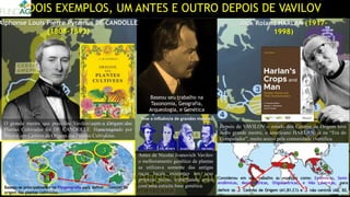 DOIS EXEMPLOS, UM ANTES E OUTRO DEPOIS DE VAVILOV
Baseou seu trabalho na
Taxonomia, Geografia,
Arqueologia, e Genética
Considerou em seu trabalho as espécies como: Endêmicas, Semi-
endêmicas, Monocêntricas, Oligocêntricas, e Não cêntricas, para
definir os 3 Centros de Origem (A1,B1,C1) e 3 não centros (A2, B2,
C2).
Jack Roland HARLAN (1917-
1998)
DARWIN MENDEL
LINEU VILMORIN
Teve a influência de grandes mestres
Depois de VAVILOV o estudo dos Centros de Origem teve
outro grande mestre, o americano HARLAN, já na “Era do
Computador”, muito aceito pela comunidade científica.
Antes de Nicolai Ivanovich Vavilov
o melhoramento genético de plantas
se utilizava somente das antigas
raças locais existentes em seus
próprios países, trabalhando assim
com uma estreita base genética.
Regiões percorridas
por Vavilov
Alphonse Louis Pierre Pyramus DE CANDOLLE
(1808-1893)
Baseou-se principalmente na Fitogeografia para definir 4 centros de
origem das plantas cultivadas.
O grande mestre que precedeu Vavilov com a Origem das
Plantas Cultivadas foi DE CANDOLLE. Homenageado por
Nicolai em Centros de Origem das Plantas Cultivadas.
 
