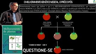 OMELHORAMENTO GENÉTICOVEGETAL,OPRÉEOPÓS
Primeiramente temos que definir o que é o MELHORAMENTO FITOGENÉTICO, que segundo
Aluízio BORÉM et al. (2021), trata-se da “CIÊNCIA e a ARTE de modificação GENÉTICA das plantas
para torná-las mais ÚTEIS ao homem” (Exemplo abaixo: Doçura e Resistência para o Tomate).
DOCE PORÉM
SUSCETÍVEL ÀS
DOENÇAS
SEM DOÇURA MAS
RESISTENTE ÀS
DOENÇAS
DOCE E RESISTENTE
QUESTIONE-SE
 