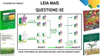 “O MUNDO DA FUNDAG” LEIA MAIS
QUESTIONE-SE
VOCÊ CONCORDA OU DISCORDA DO QUE LHE FOI APRESENTADO?
 