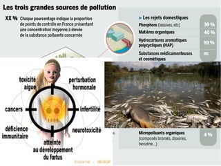 III. Les problèmes liés à l'eau
La pollution de l'eau par les déchets (pays pauvres),
et par les produits chimiques (pays riches)
entraine de graves problèmes pour la santé et les milieux
naturels