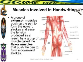 Muscles involved in Handwriting
• A group of
extensor muscles
push up the pen to
form the upward
strokes and ease
the tension
produced as a
result by a group of
muscle called the
flexor muscles
that push the pen to
form a downward
strokes.
49
RHEM RICK N. CORPUZ, Ph. D Crim
 