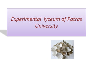 Experimental lyceum of Patras
University
 