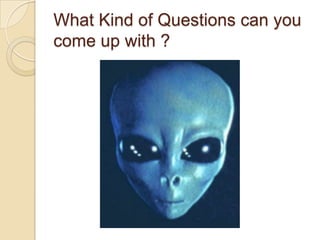 What Kind of Questions can you
come up with ?
 