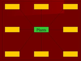 Plants 