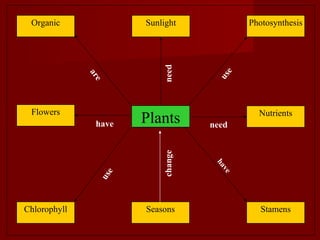 Plants Photosynthesis Sunlight Organic Stamens Nutrients Seasons Chlorophyll Flowers use need are have use change have need 