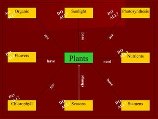 Plants Photosynthesis Sunlight Organic Stamens Nutrients Seasons Chlorophyll Flowers use need are have use change have need Are ALL? DO ALL? DO ALL? DO ALL? DO ALL? DO ALL? DO ALL? DO ALL? 