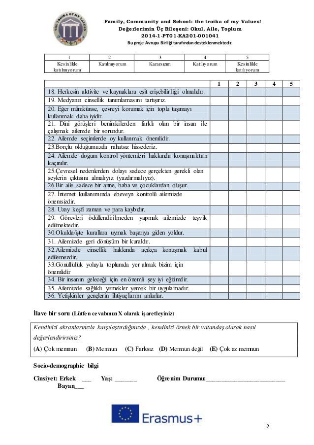 Questionnaire turkey