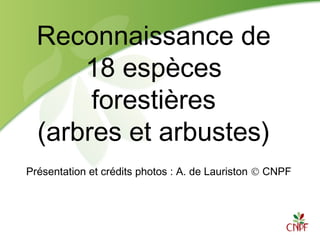 Reconnaissance de
18 espèces
forestières
(arbres et arbustes)
Présentation et crédits photos : A. de Lauriston © CNPF
 