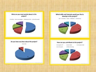 Questionnaire on project expectations spain