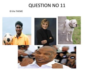 QUESTION NO 11
ID the THEME
 