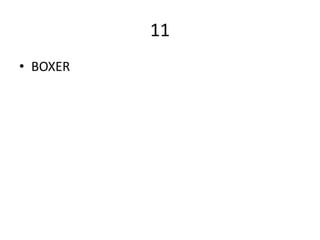 11
• BOXER
 