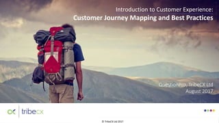 © TribeCX Ltd 2017
Introduction to Customer Experience:
Customer Journey Mapping and Best Practices
QuestionPro, TribeCX Ltd
August 2017
 