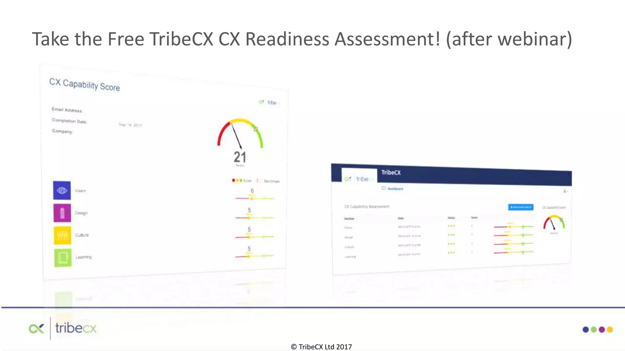 © TribeCX Ltd 2017
Take the Free TribeCX CX Readiness Assessment! (after webinar)
 