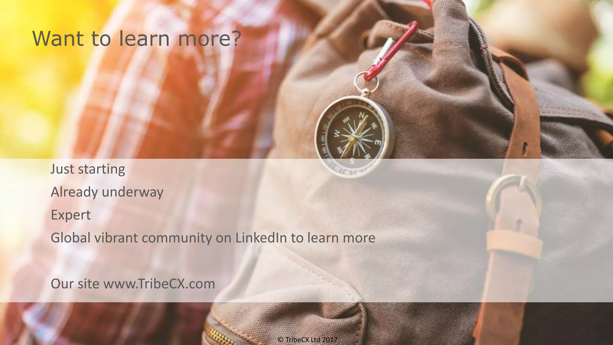 Want to learn more?
Just starting
Already underway
Expert
Global vibrant community on LinkedIn to learn more
Our site www.TribeCX.com
© TribeCX Ltd 2017
 