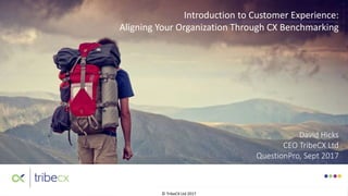 © TribeCX Ltd 2017
David Hicks
CEO TribeCX Ltd
QuestionPro, Sept 2017
Introduction to Customer Experience:
Aligning Your Organization Through CX Benchmarking
 