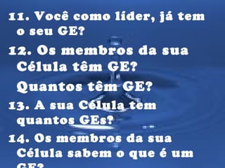 11. Você como líder, já tem 
o seu GE? 
12. Os membros da sua 
Célula têm GE? 
Quantos têm GE? 
13. A sua Célula tem 
quantos GEs? 
14. Os membros da sua 
Célula sabem o que é um 
GE? 
 