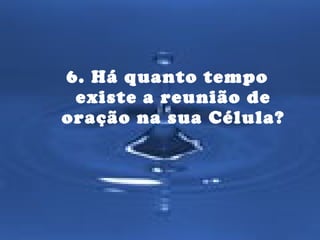6. Há quanto tempo 
existe a reunião de 
oração na sua Célula? 
 
