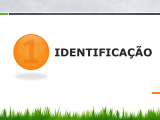 IDENTIFICAÇÃO
 