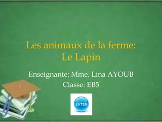 Les animaux de la ferme:
Le Lapin
Enseignante: Mme. Lina AYOUB
Classe: EB5
 