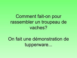 Comment fait-on pour rassembler un troupeau de vaches? On fait une démonstration de tupperware... 