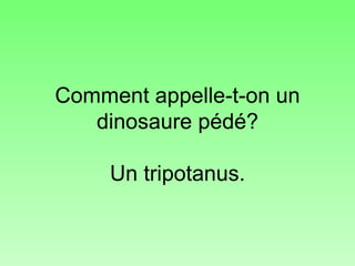 Comment appelle-t-on un dinosaure pédé? Un tripotanus. 
