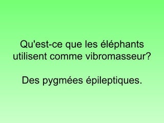 Qu'est-ce que les éléphants utilisent comme vibromasseur? Des pygmées épileptiques. 