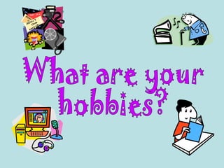 What are your hobbies? 