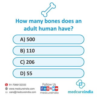 How many bones does an adult human have?
