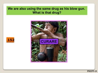 We are also using the same drug as his blow gun.
What is that drug?
CURARE152
PREPP-19
 